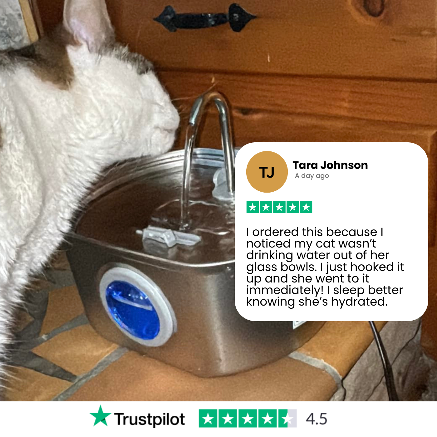 Purrify Stainless Steel Water Fountain