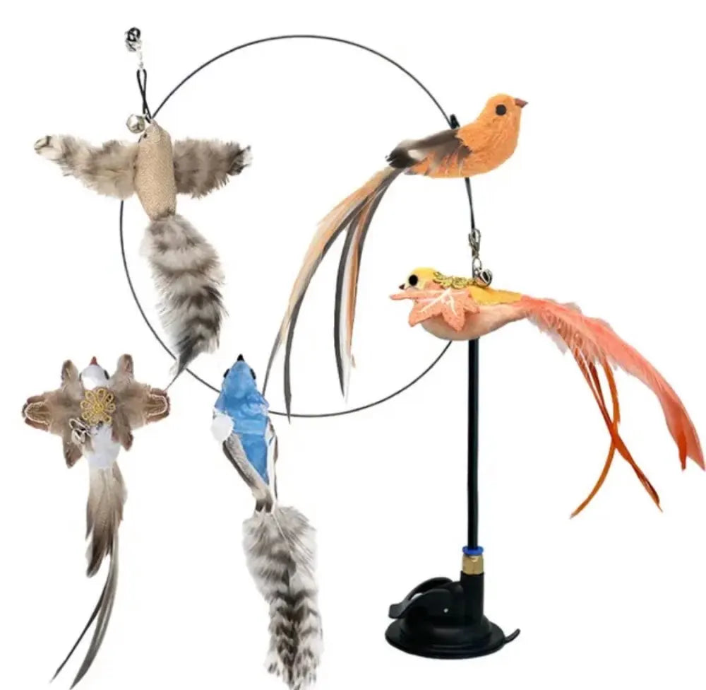 Zoomies™ Interactive Bird Toy