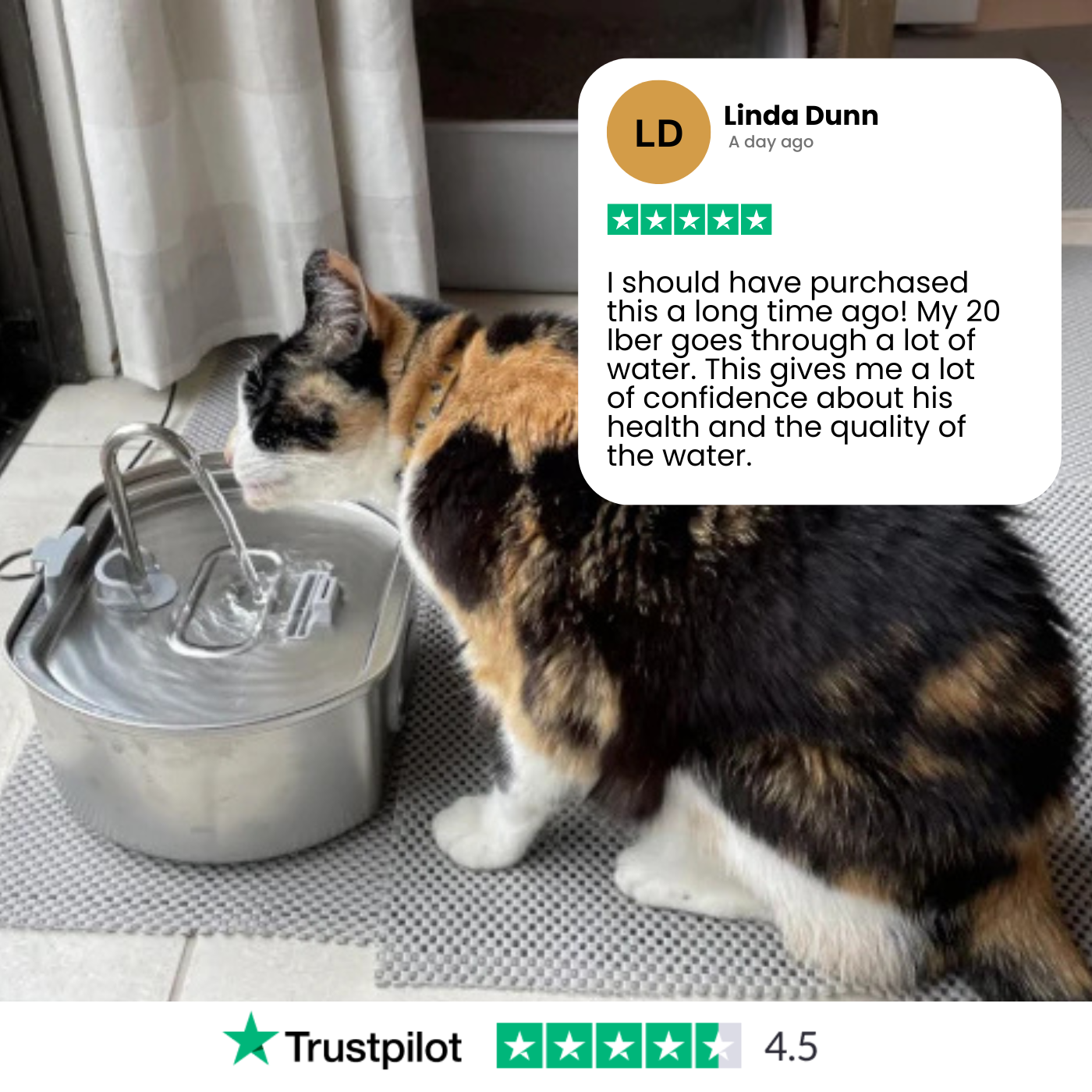 Purrify Stainless Steel Water Fountain