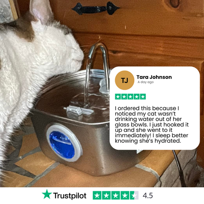 Purrify Stainless Steel Water Fountain