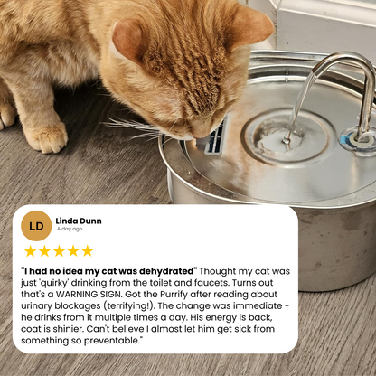 Purrify Stainless Steel Water Fountain