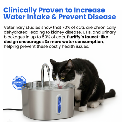 Purrify Stainless Steel Water Fountain