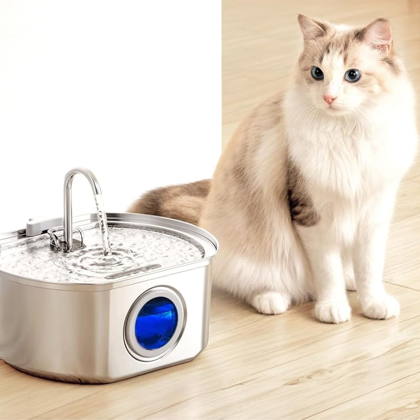 Purrify Stainless Steel Water Fountain