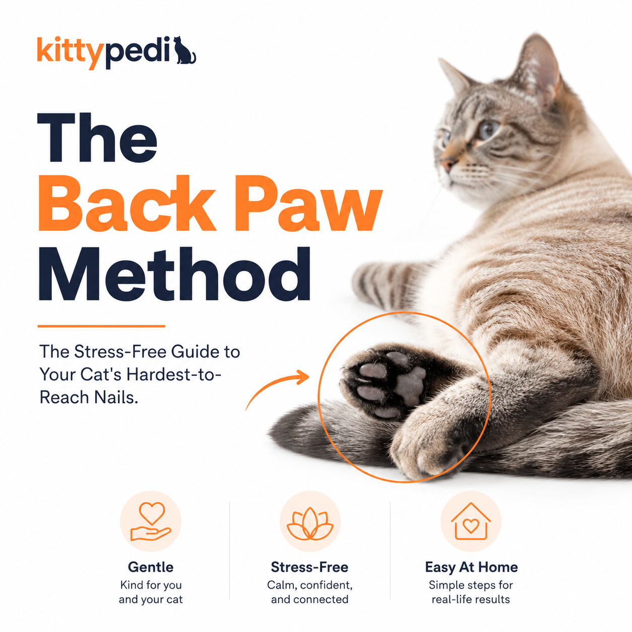 The Back Paw Method: The Stress-Free Guide to Your Cat's Hardest-to-Reach Nails