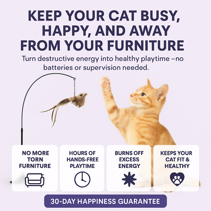 Zoomies™ Interactive Bird Toy