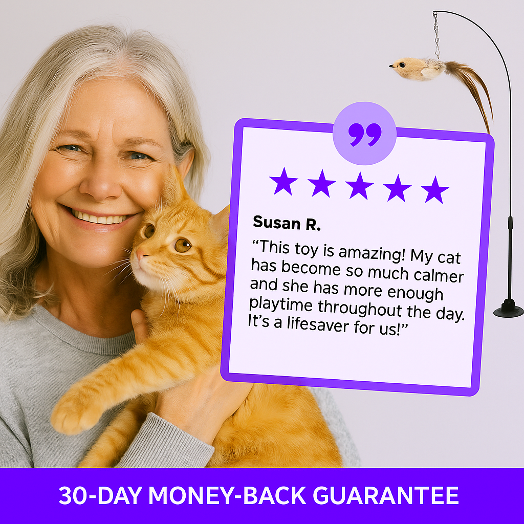 Zoomies™ Interactive Bird Toy