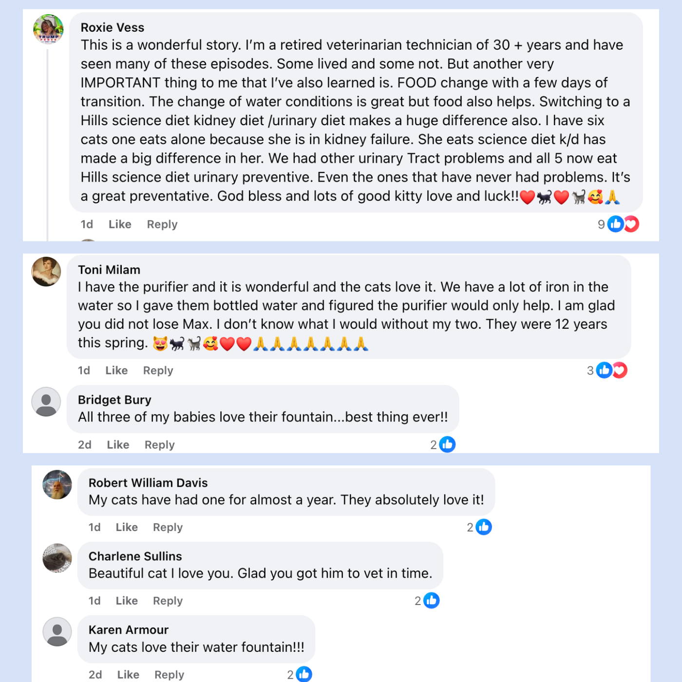 Purrify Stainless Steel Water Fountain