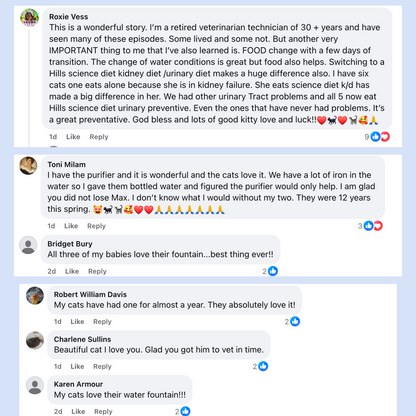 Purrify Stainless Steel Water Fountain