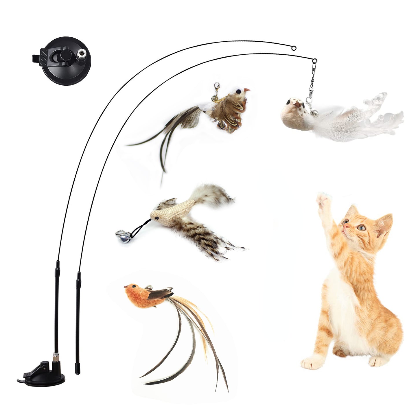 Zoomies™ Interactive Bird Toy