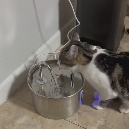 Purrify Stainless Steel Water Fountain