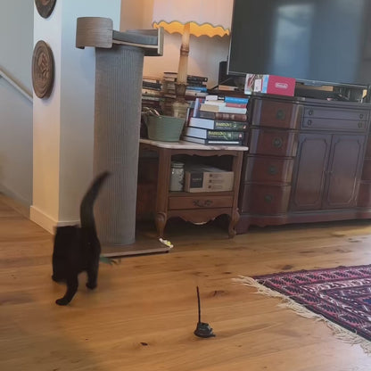 Zoomies™ Interactive Bird Toy